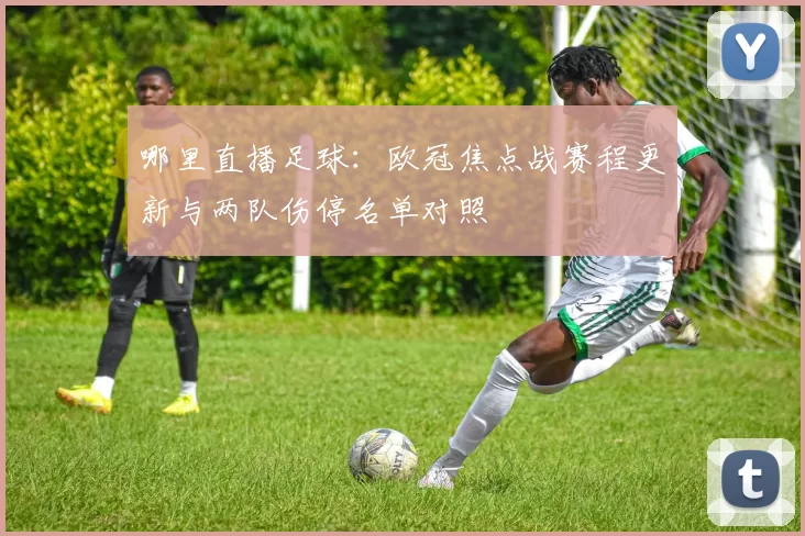 哪里直播足球：欧冠焦点战赛程更新与两队伤停名单对照