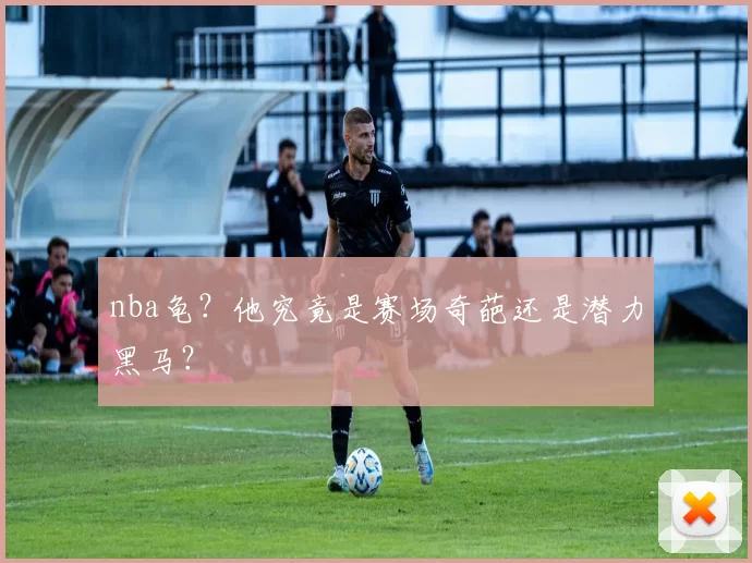 nba龟？他究竟是赛场奇葩还是潜力黑马？