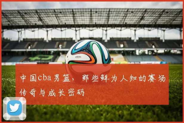 中国cba男篮，那些鲜为人知的赛场传奇与成长密码